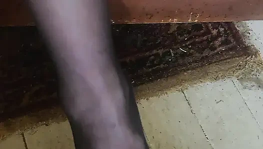 Goode Girl JOI Hump My Nylon Covered Leg Like the You Are