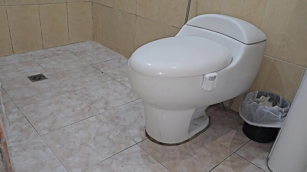 Eating My Stepcousin in the Toilet
