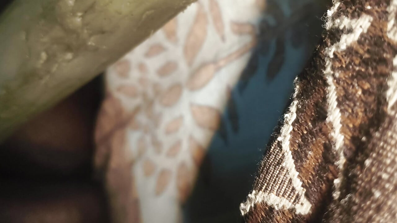 泰米爾阿姨