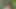 Büyük zenci yarağı üzerindeki bir beyaz kız iyi ama iki beyaz kız çok daha iyi