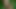 Eleganter Anal - Goldie Rush, Stirling Cooper - botanischer Hintern
