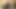 Big Black Cock Sissy Faggot trainer #2