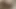 Blowjob and butt sex with horny girl