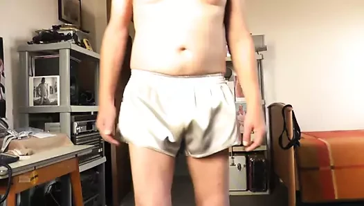 Seksi silbershorts