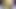 GoldenGoddessXXX