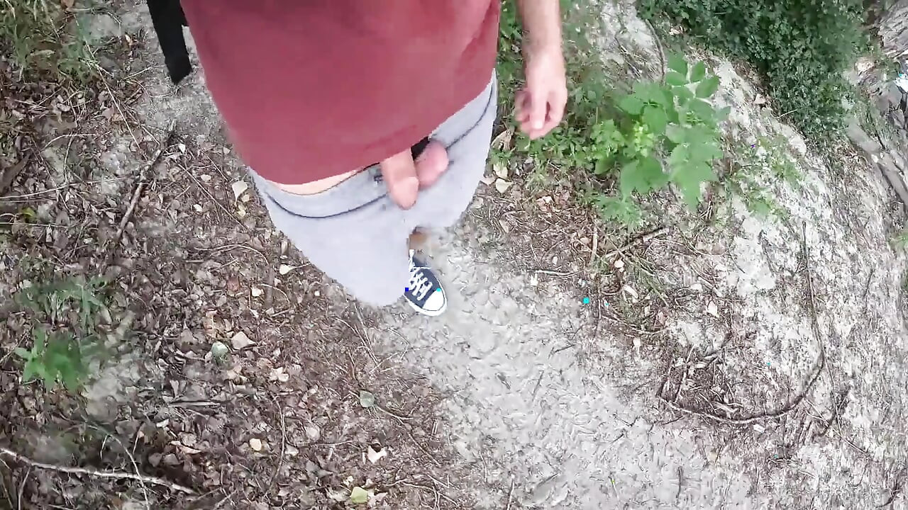 Surprise in the Foliage