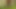 Ich ficke meinen Arsch im Wald mit einem Dildo und am Ende schiebe ich den Dildo zusammen mit den Eiern hinein.