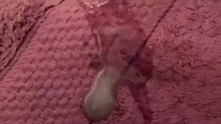 Сбрасывающая сперма на эти шлюховатые возбужденные киски