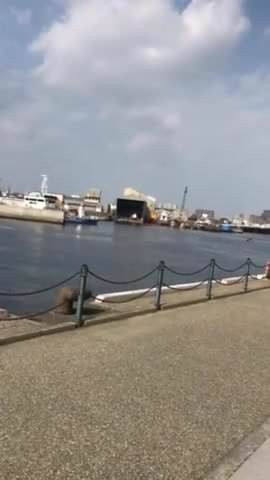 en el puerto
