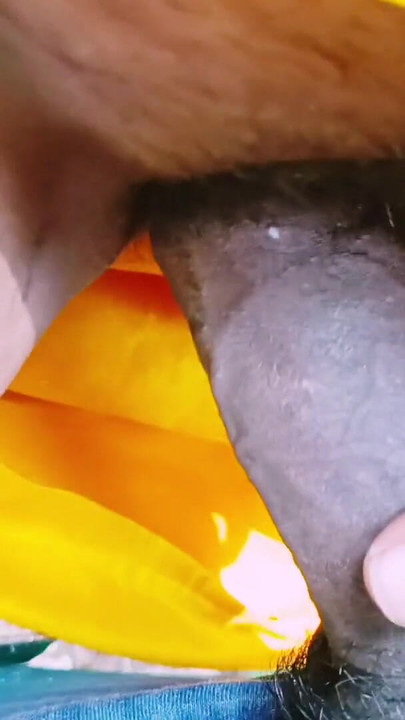 Memorable moment from "outdoor forest sex. Desi bhabi fucking Husband&#039;s small big dick. Telugu dirty talks."
