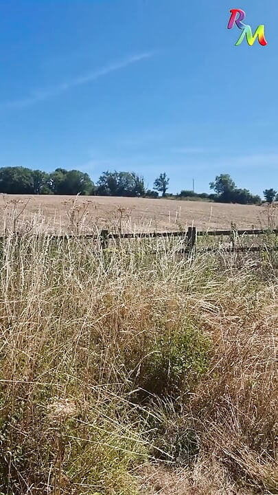 When I went sunbathing near the M4... passing cars could see me!