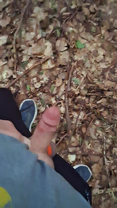 Pressure released in the forest