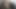 الأنين والحنين إلى ديك