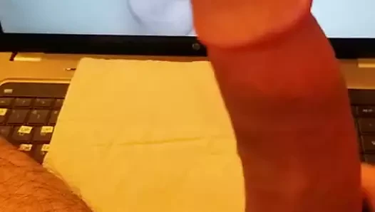 kedi kedi