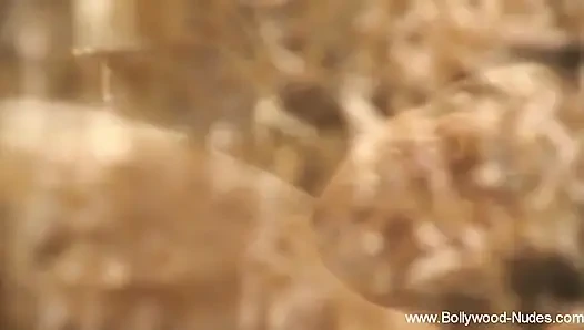 Kuchipudi Dance Seduction Journey