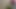 Kadın kılıklı oral dildo
