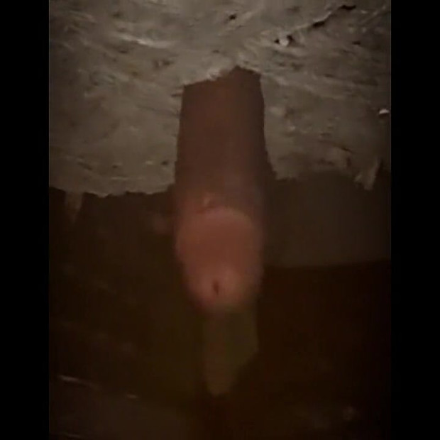 私の新しいホットな中出しコンピレーションビデオ。