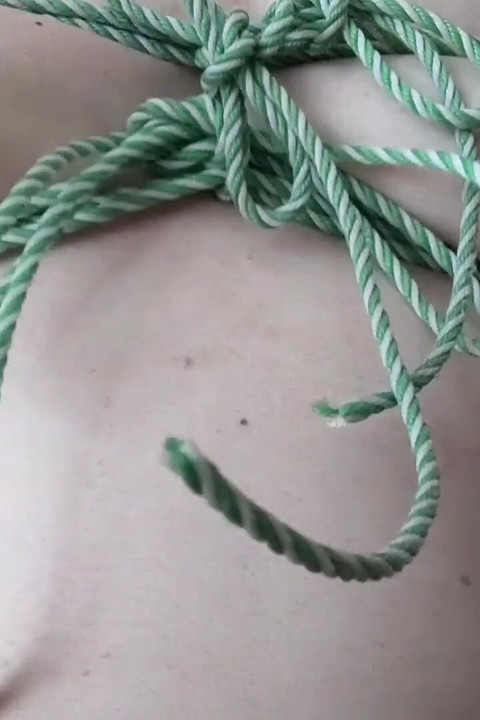 Titisbdsm3