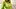 Amateur Crossdresser Kellycd2022 Sexy MILF on Holiday in Green Mesh Dress and White Stockings