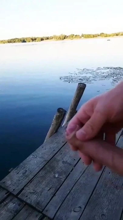 lake shore