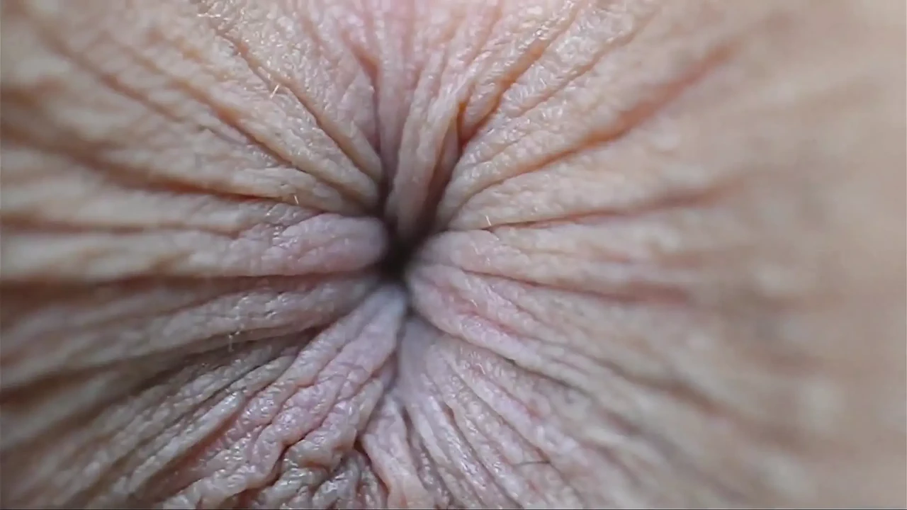 所有的女孩同时吮吸对方的菊花，一个接一个地。GGmansion