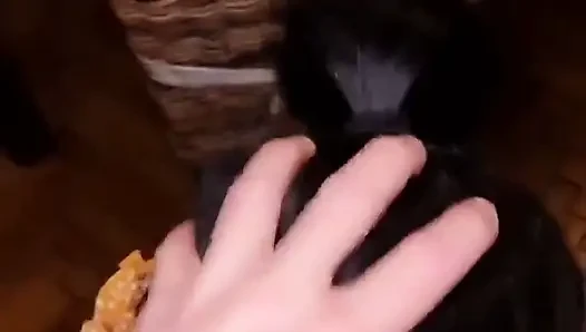 He Came Back for More