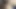 Viral desi çift seks videoları