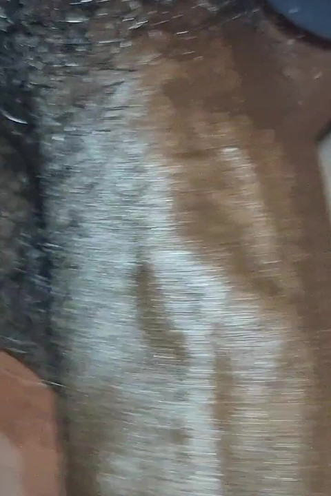 Close up Jerking Juicy BBC