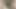 Güzel hizmetçinin elbisesi yırtıldı mı yoksa çekildi mi?