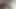 Bu latin kadın hayranı olduğunu söyleyerek DM'lerime kayıyor... İlk tanıştığımızda amını ham sikmeme izin ver