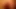 Massive Shelly 04