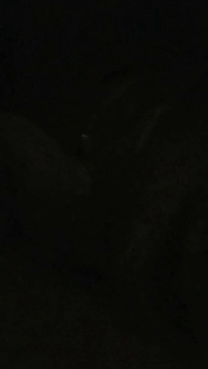 dar blowjob 3