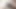 self suck and eating my cum 14