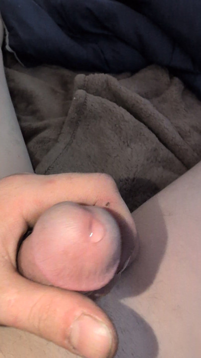 내 자지 끝에서 유출된 Precum