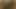 ThickBlackOilyCock Show off. Spit on my cock