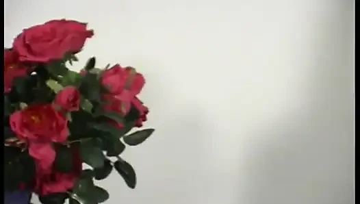 Cewek rambut cokelat lagi asik mainin memek bebasnya di ruangan casting