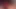 nylon vixen teases