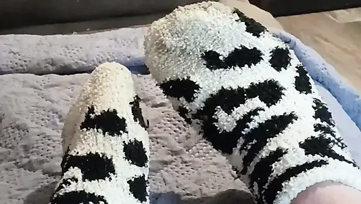 Quit stealing my socks jack