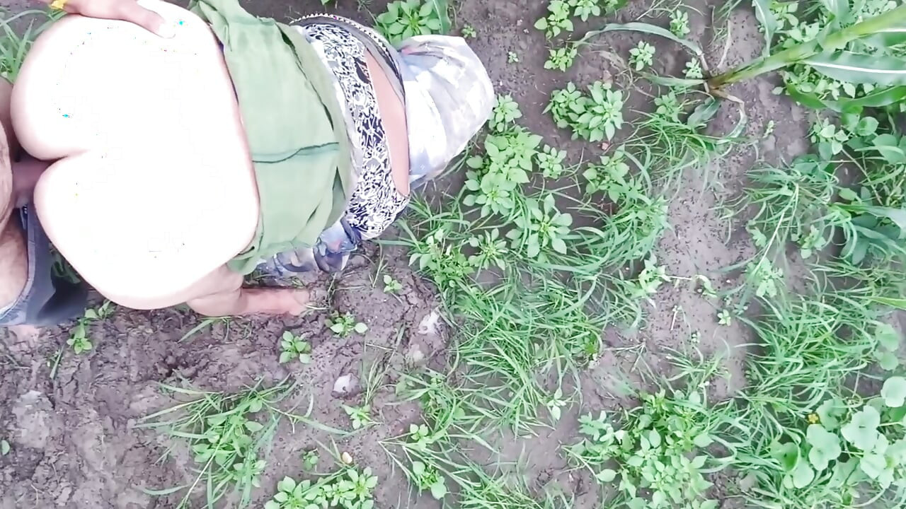 Devar apni Badi bhabhi ko khet mein Le jakar bade boobs Ko dabakar bade Gand GhodBanakar makkhi khet mein chod raha hai apne sagi bhabhi ko