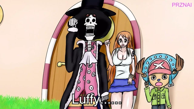One Piece Collection Re7