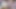 Attention all Latin lovers! Introducing, the sexy, curvaceous solo star that will have you on your knees. Get ready to be captivated by this sensual Latina’s sultry moves and lust-worthy physique.