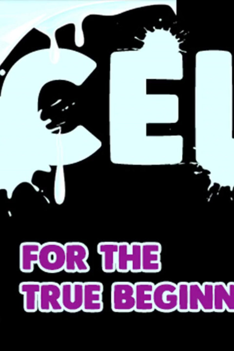 AUDIO ONLY - CEI for the true beginner