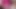 in the pink