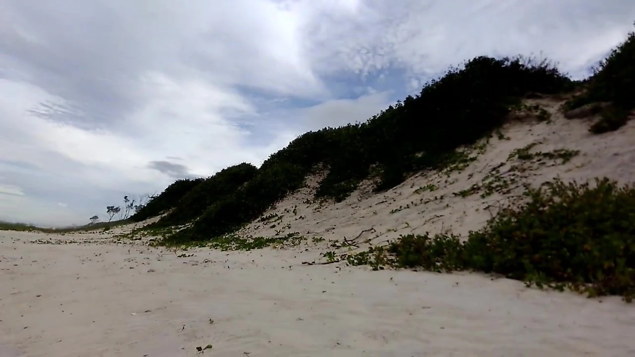 Gola na plaži - australija