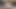 POV クローズアップ ディルドフェラチオと膣マスターベーション、ダーティートーク JOI & シミュレートCIM