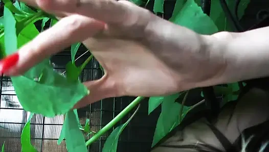 Обними свою покорную сторону