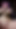 BBCとの3D BBW韓国人スラット浮気