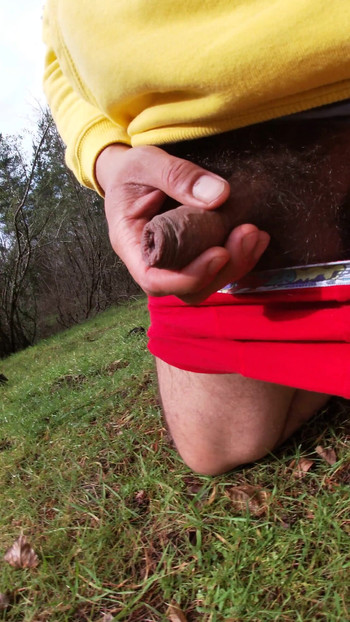 Powerful moment from "Ass Up, Balls Swinging - Caught Stroking in the Pines (Part 2)"