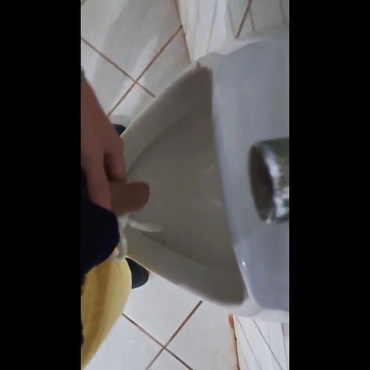 Jag Utnyttjade Den Offentliga Toaletten För Att Kissa På Den.