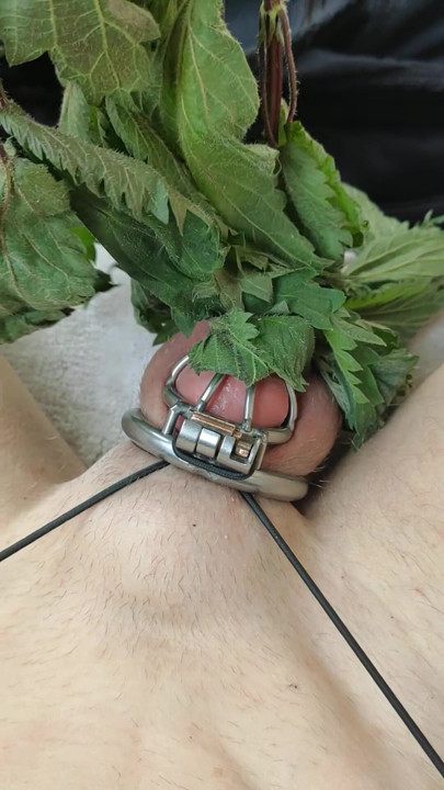 Punishment of the slave